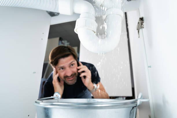 Best Local Plumber Services  in , AZ